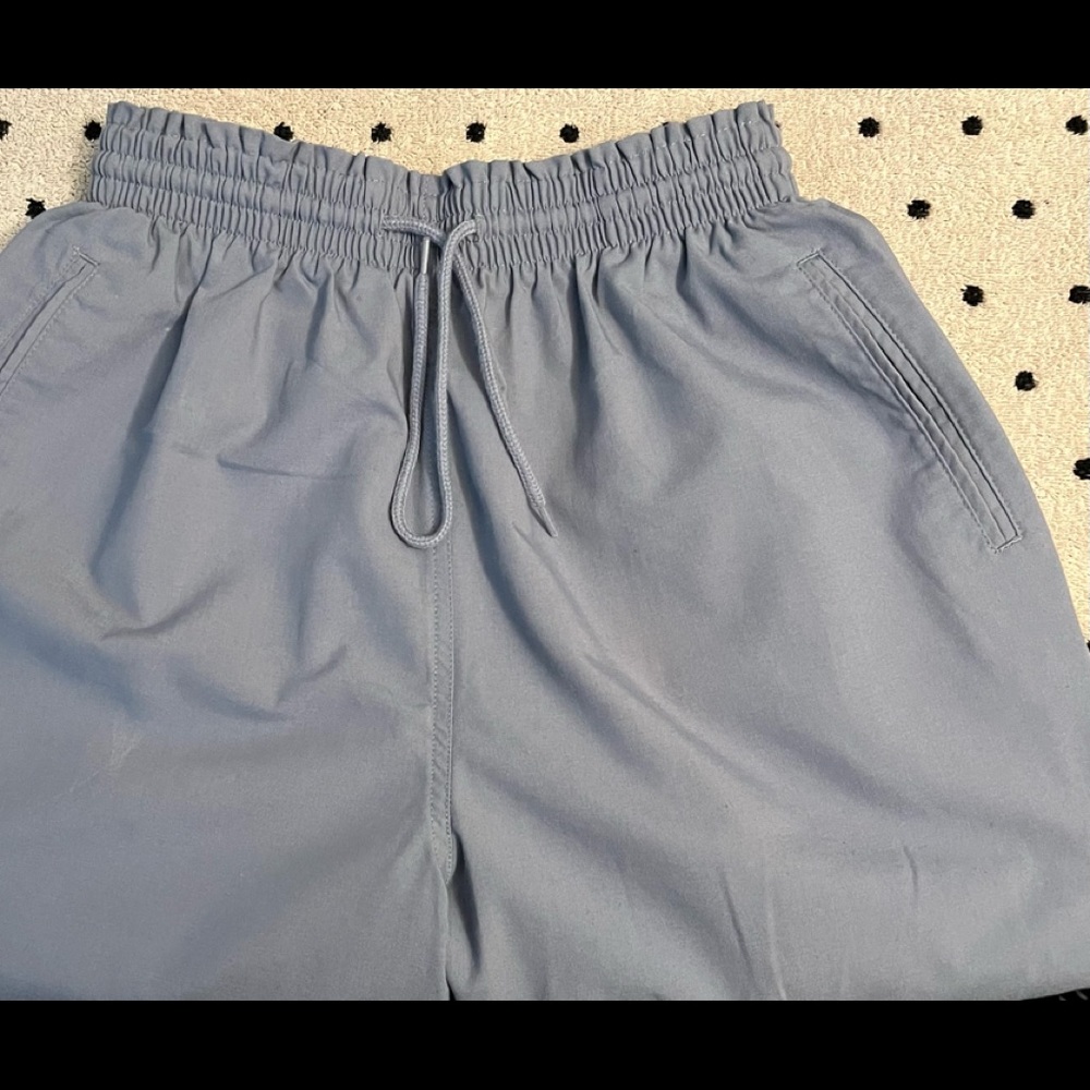 Women's Petite 14 Hasting and Smith Blue pants
